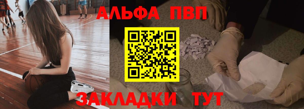 Альфа ПВП СК Малгобек