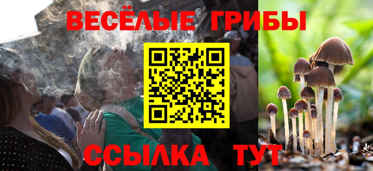 Галлюциногенные грибы ЛСД Малгобек