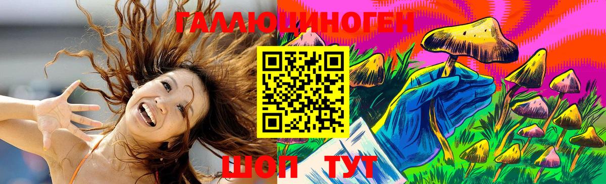 Малгобек  Псилоцибиновые грибы Psilocybe  Вход с VPN  Псилоцибиновые грибы Magic Shrooms 